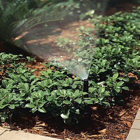 Vòi phun Popup tưới cỏ âm đất, tự bật cao 10cm khi tưới