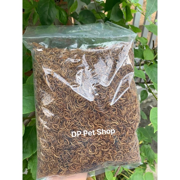 Sâu Sấy Supper Worm Thơm Bơ