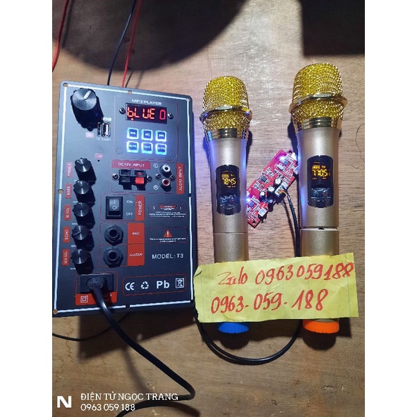 Mạch Loa Kéo Kèm 2 Tay Micro Không Dây Chạy Bass 20-30 Coil 38 Siêu Hay
