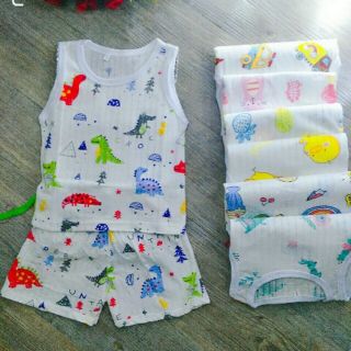 Combo 3 bộ cotton giấy