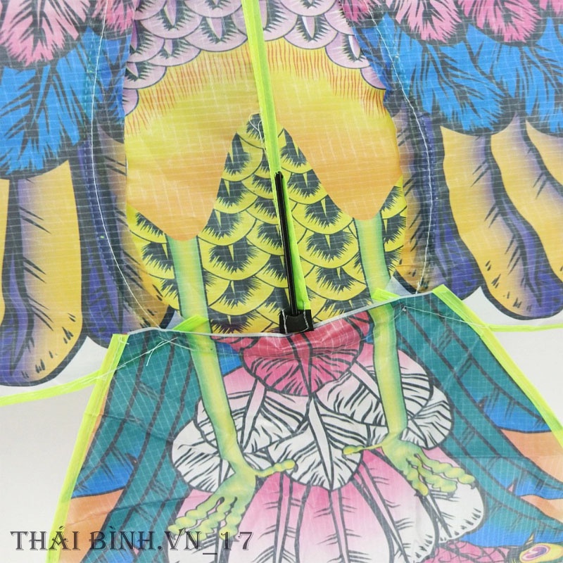 DIỀU CÔNG PHONG CÁCH XỨ HUẾ - DIỀU CỒNG SIỀU ĐẸP - THÁI BÌNH.VN_17