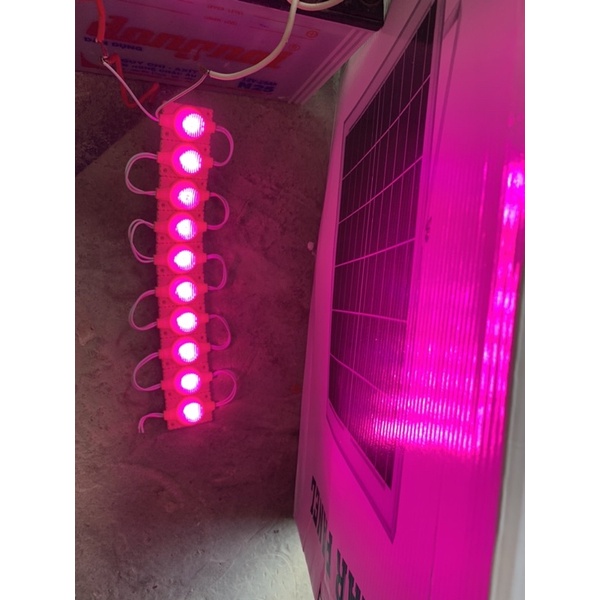 Bóng led miếng trang trí xe