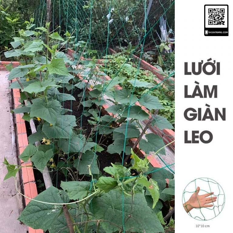 Lưới làm giàn leo trồng dưa, bầu, bí, mướp, đậu đỗ, size 1.8x1.8m