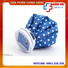 Túi chườm đá lạnh mega - [Hàng công ty]