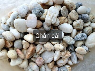 Sỏi suối 3 màu trang trí hồ cá, chậu cây cảnh – 1kg