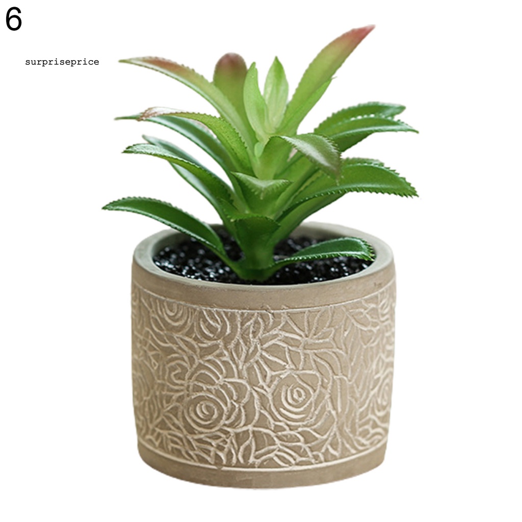 Kệ Để Chậu Cây Bonsai Mini Thân Thiện Với Môi Trường Dùng Trang Trí Bàn Làm Việc