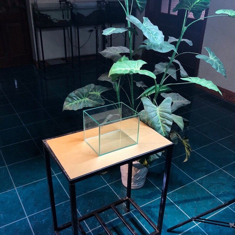 Bể cá mini D20xR15xC15cm dán dấu keo