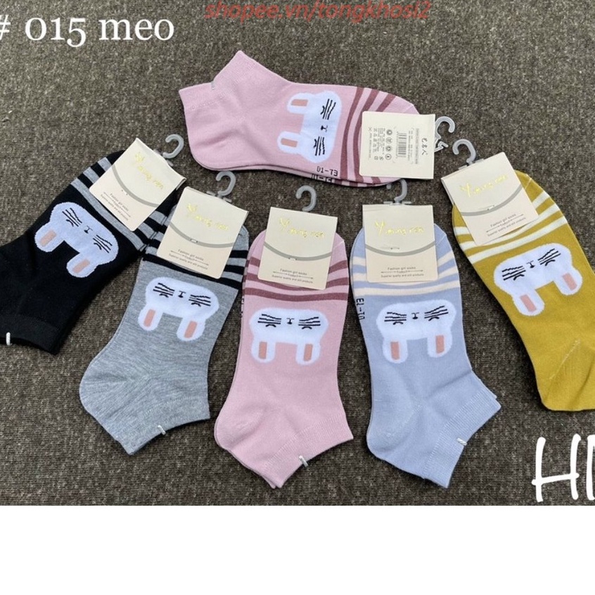 [Set 10 đôi] tất thỏ cổ thấp cho bé gái T2