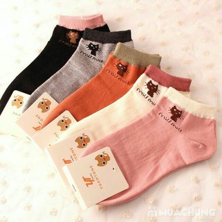 Combo 10 đôi Tất chân nữ Cổ Ngắn Hình Mèo Miu Miu cute, đáng yêu