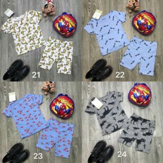 Sỉ Combo 5 bộ bé trai từ 5-18kg
