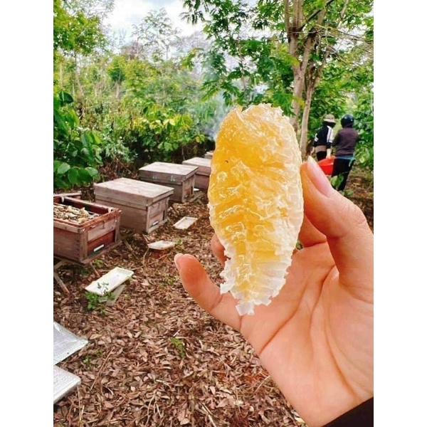 Mật Ong nguyên sáp (mật Ong bánh Tổ) hủ 1kg