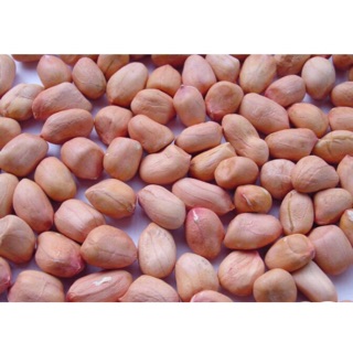 Đậu phộng Hà Tĩnh