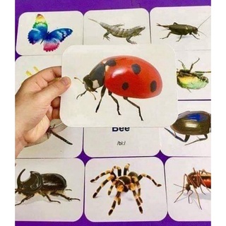 416 THẺ FLASH CARD THÔNG MINH CHO BÉ