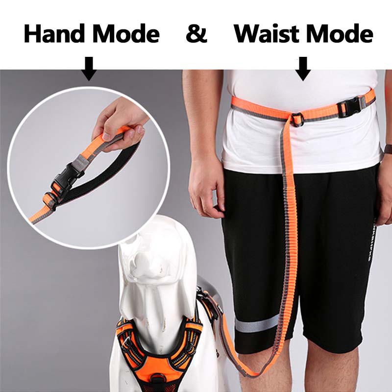 TRUELOVE Dây dắt bộ bằng nylon co giãn chất lượng dành cho thú cưng/có thể điều chỉnh