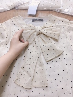 Bán sỉ áo sơ mi chấm bi cổ nơ