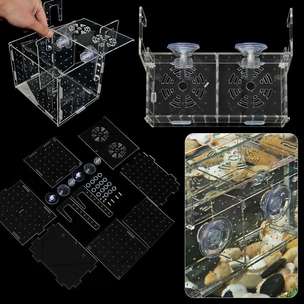 Hộp Cách Ly Ấp Trứng Cá DAPHS