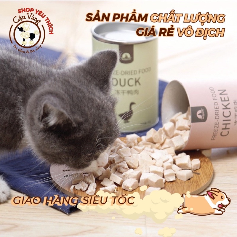 THỨC ĂN ĐÔNG KHÔ THỊT SẤY KHÔ CHO CHÓ MÈO
