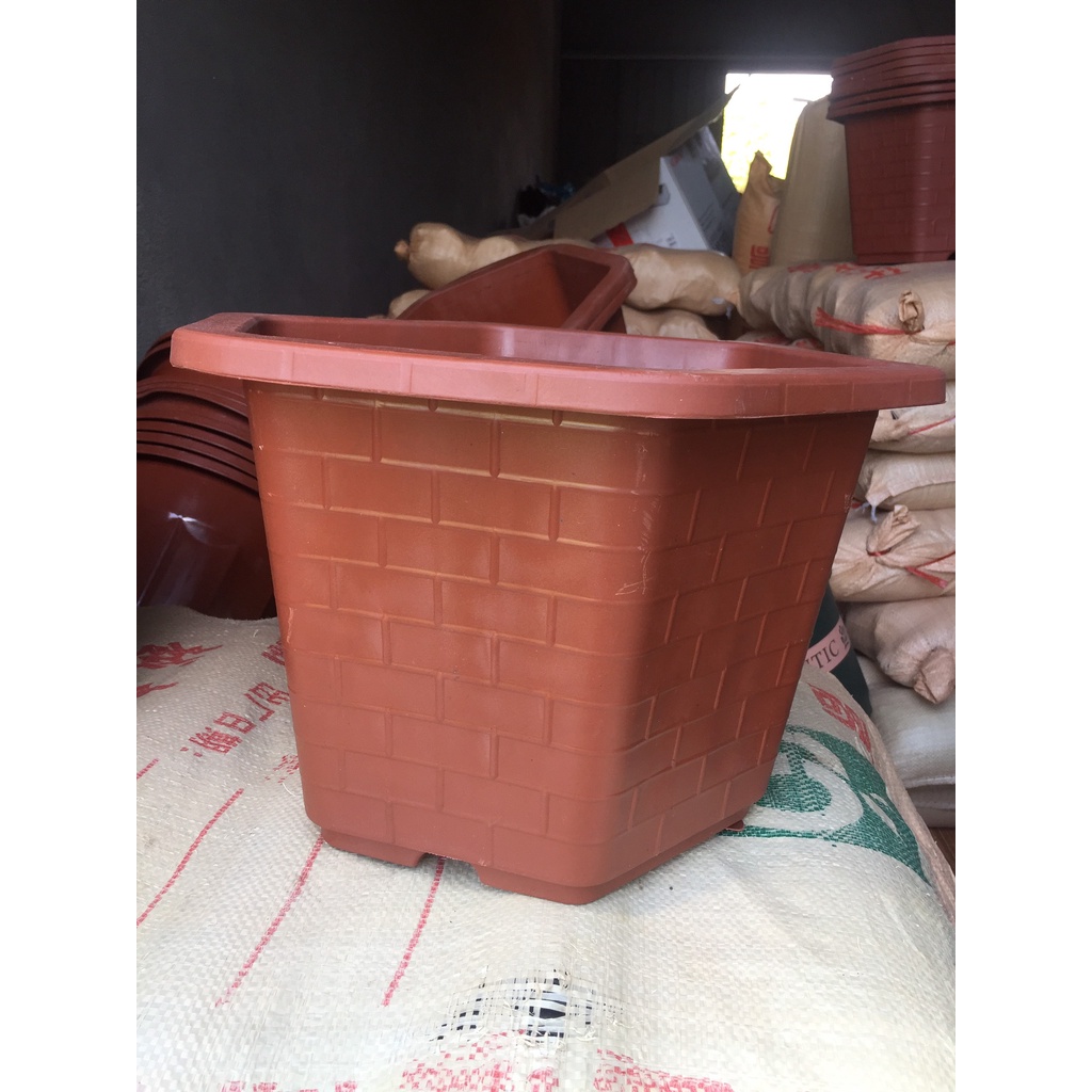 5 CHẬU NHỰA LỤC GIÁC MÃ #460 (DỊCH TRUYỀN CỨU CÂY, KÍCH RỄ MẦM CÂY, BẦU KHAY TÚI ƯƠM..)