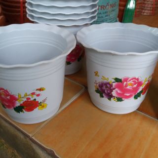 10 chậu nhựa cao cấp rộng 20cm cao 18cm