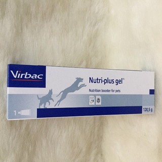 gel dinh dưỡng cho chó