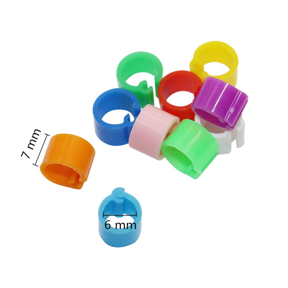 200 Vòng Nhẫn 6mm Cho Chim Bồ Câu