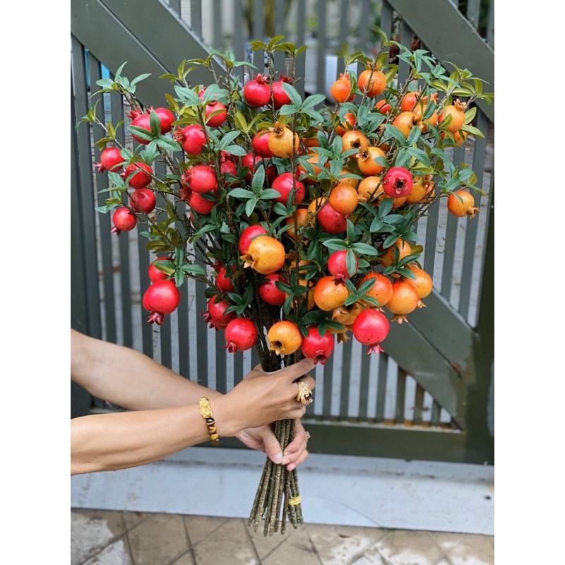 Cành Lựu qủa đỏ, cam size lớn giá rẻ ( cành 8 trái)