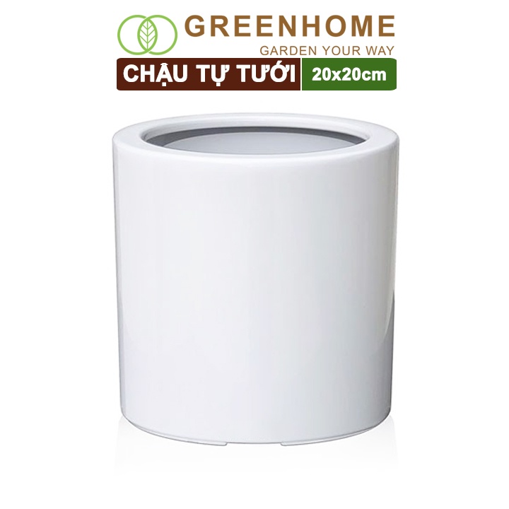 Chậu trồng cây tự tưới, R20xC20cm, trụ tròn, sơn trắng, siêu nhẹ, thẩm mỹ, độ bền cao |Greenhome