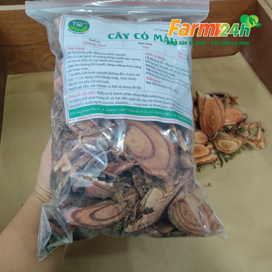 Cây cỏ máu Quảng Trị, bổ huyết, giúp tăng cân, ngừa suy nhược cơ thể | Farm24h