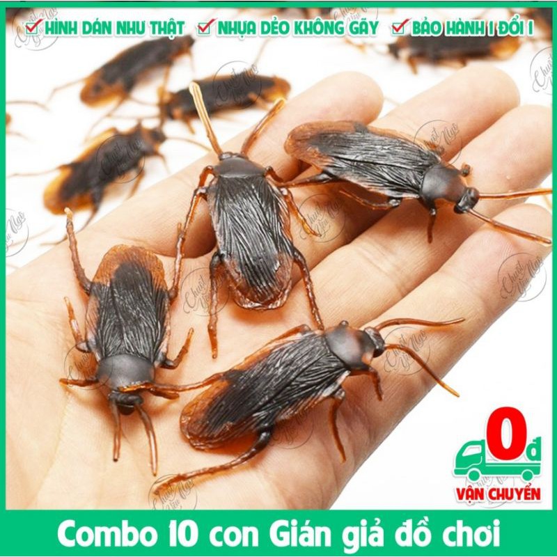 Set 10 con gián giả cao su chơi khăm bạn bè,  cho chó và mèo - con dán giả.