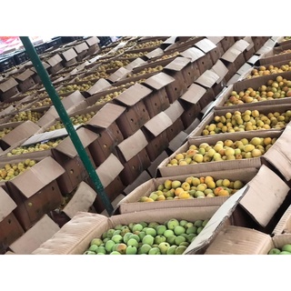 sỉ 5kg nước mơ ngâm đường