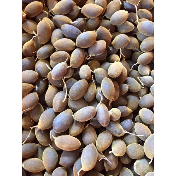 say trâu (xoay) rừng gia lai (size to)