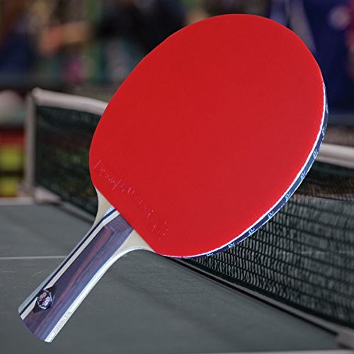 CỐT VỢT BÓNG BÀN GAMBLER SILVER DRAGON DOUBLE CARBON