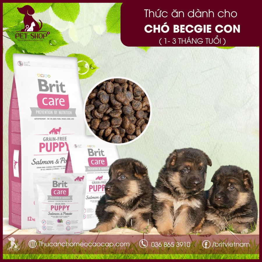 [VỊ CÁ HỒI TÚI 3KG]Thức Ăn Cho Chó Becgie Giai Đoạn Dưới 12 Tháng Tuổi Brit Care Grain-Free Puppy Salmon & Potato