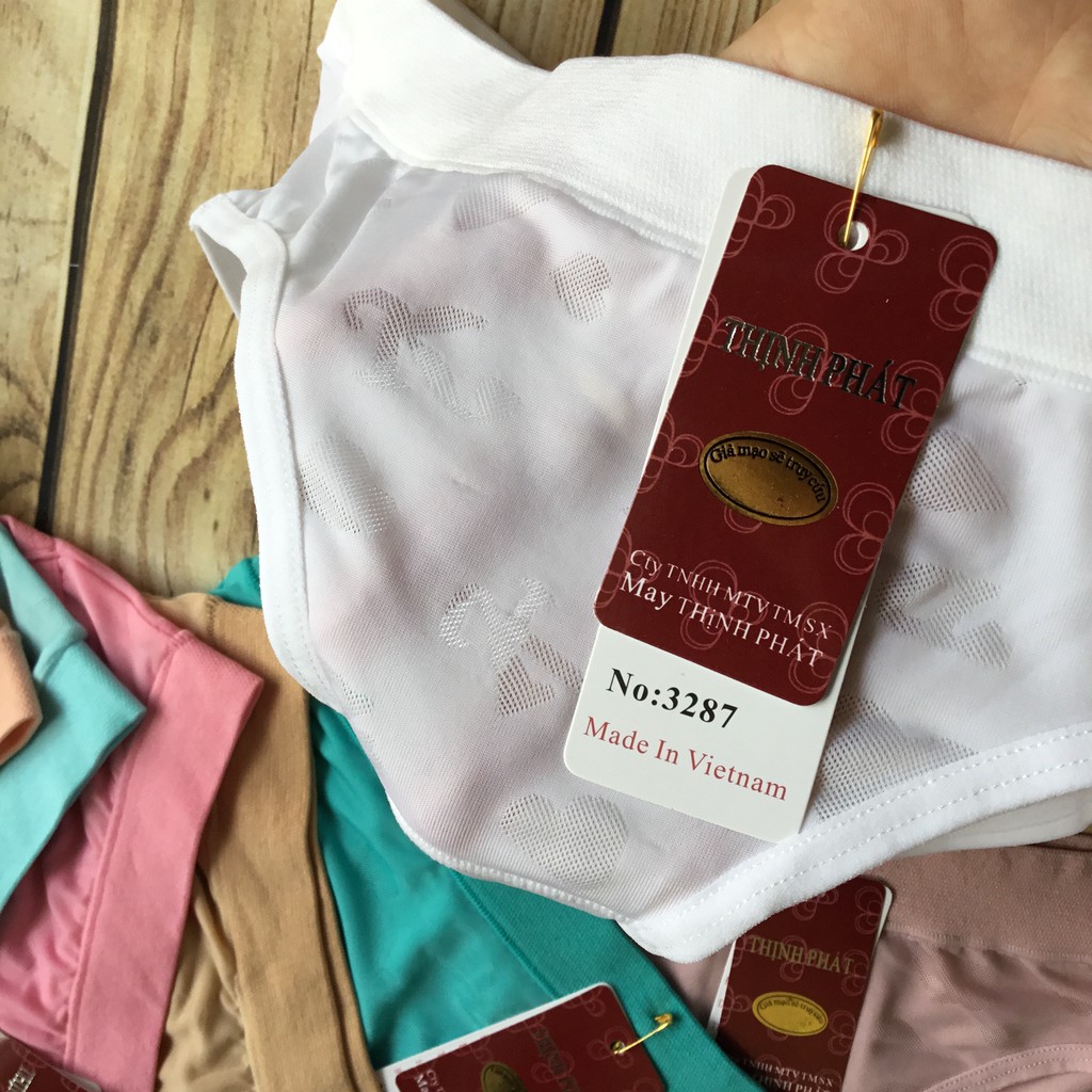 Quần Lót Nữ Thun Lạnh Bông Ép Thông Thoáng Co Giãn Tốt | BigBuy360 - bigbuy360.vn