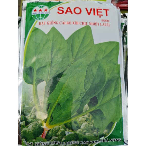 Hạt giống cải bó xôi chịu nhiệt