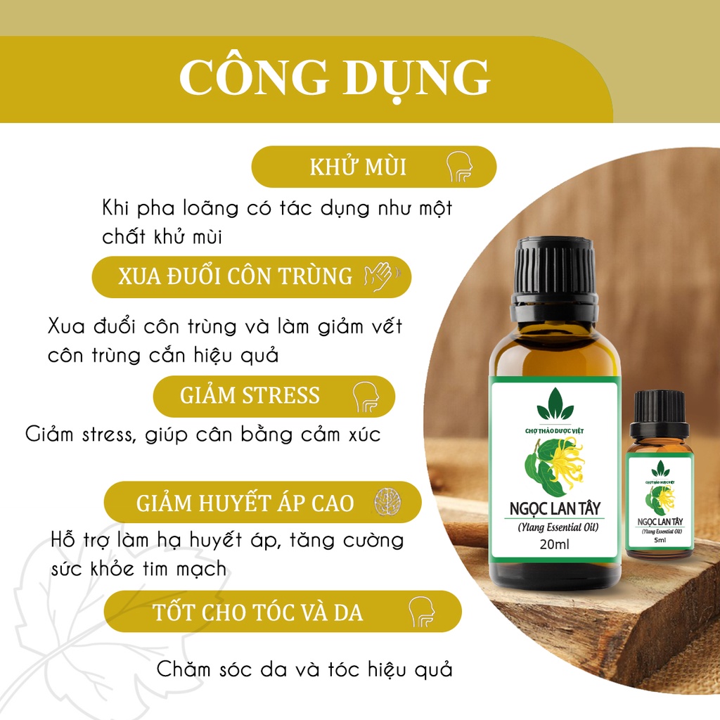 Tinh dầu Ngọc Lan Tây 20ml, cao cấp nhập khẩu, cân bằng cảm xúc, nước hoa thiên nhiên, thơm phòng - Chợ Thảo Dược Việt