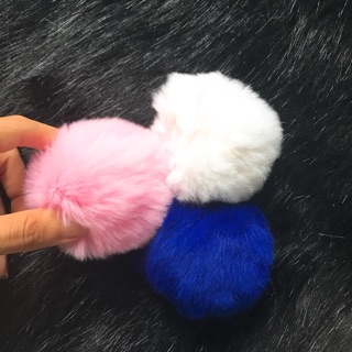 Cục bông chụp ảnh