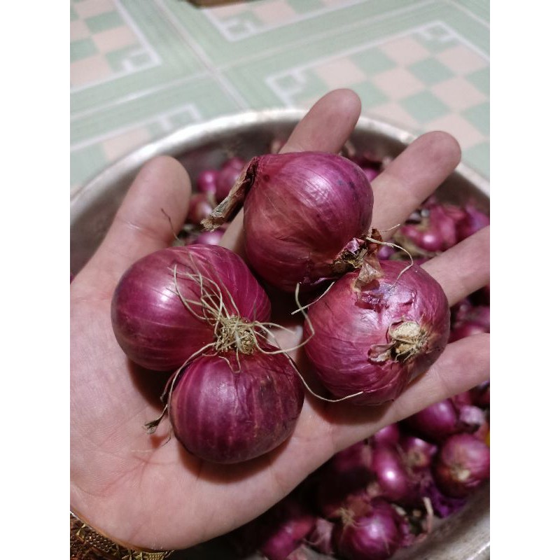 CỦ HÀNH TÍM VĨNH CHÂU, SÓC TRĂNG 1kg | BigBuy360 - bigbuy360.vn