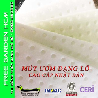 COMBO 960 VIÊN MÚT XỐP ƯƠM HẠT CAO CẤP NHẬT BẢN KHOÉT LỖ