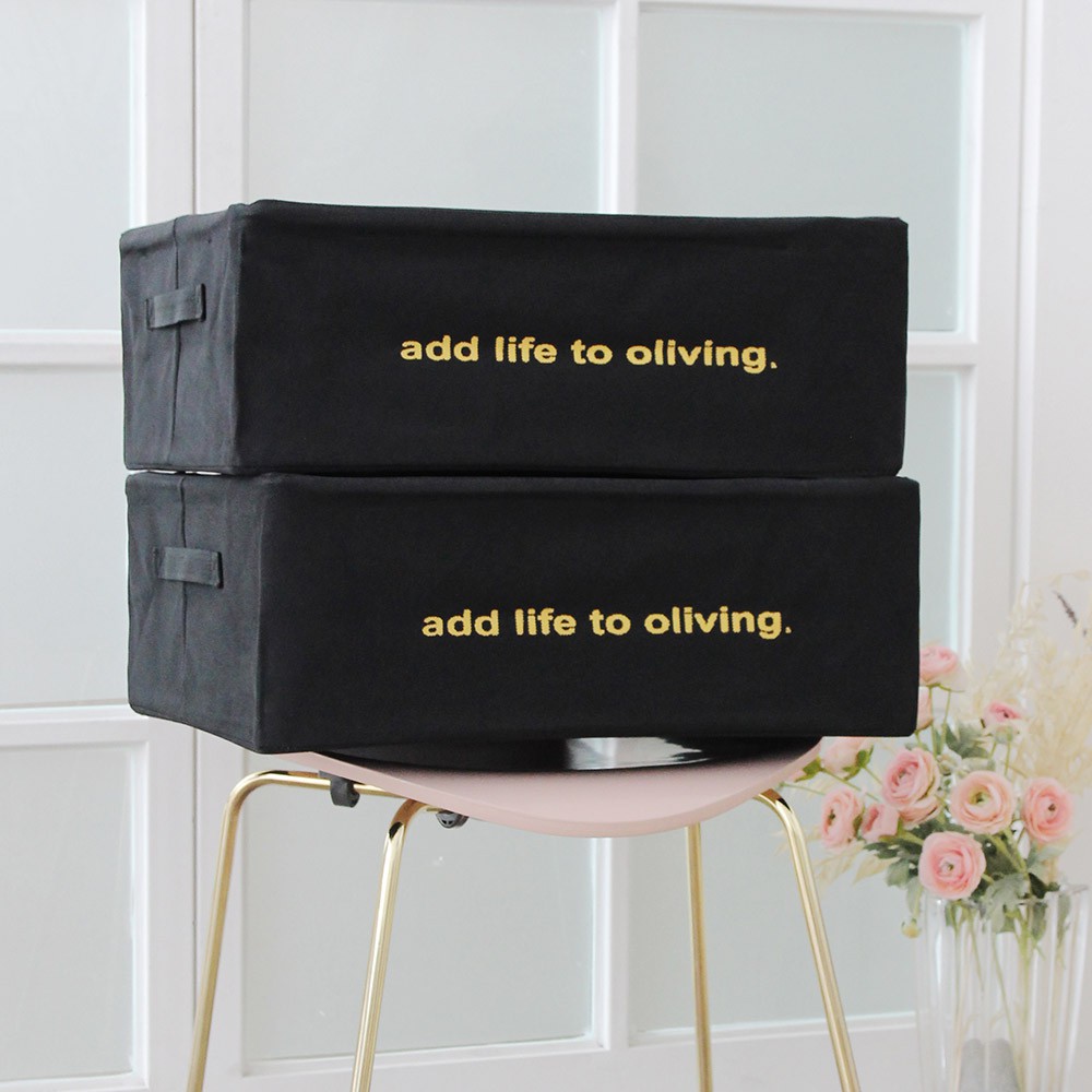 Combo 2 hộp vải lùn gấp gọn- Living box 36L