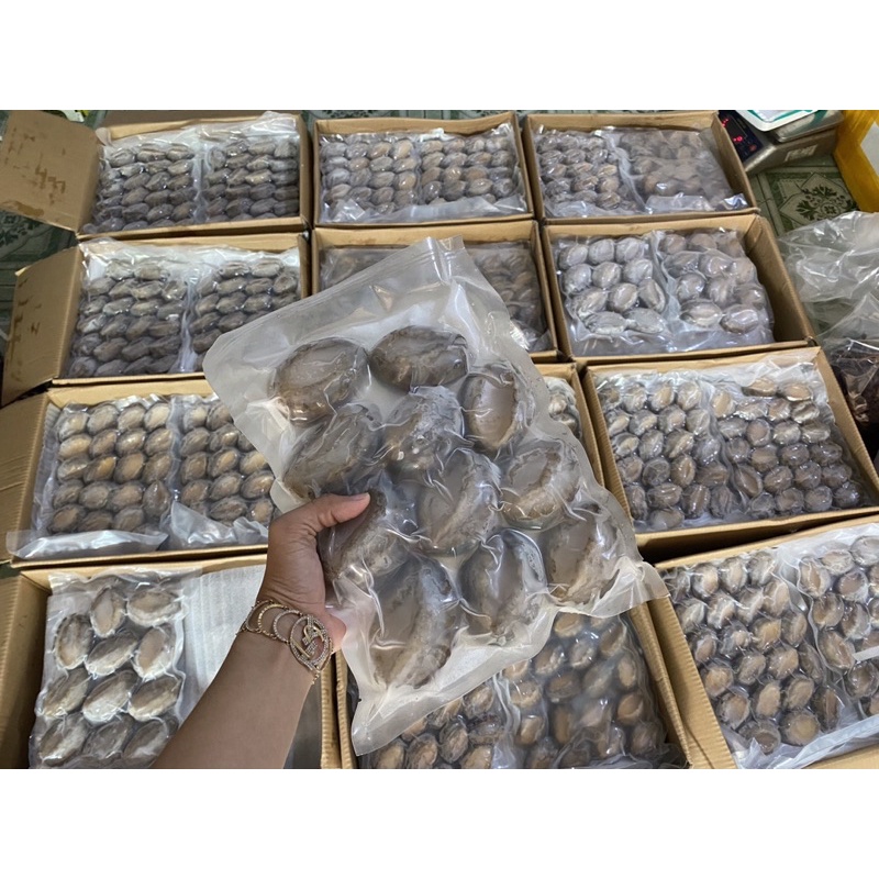 Giá sỉ 1kg Bào Ngư nisisn 10-12 con