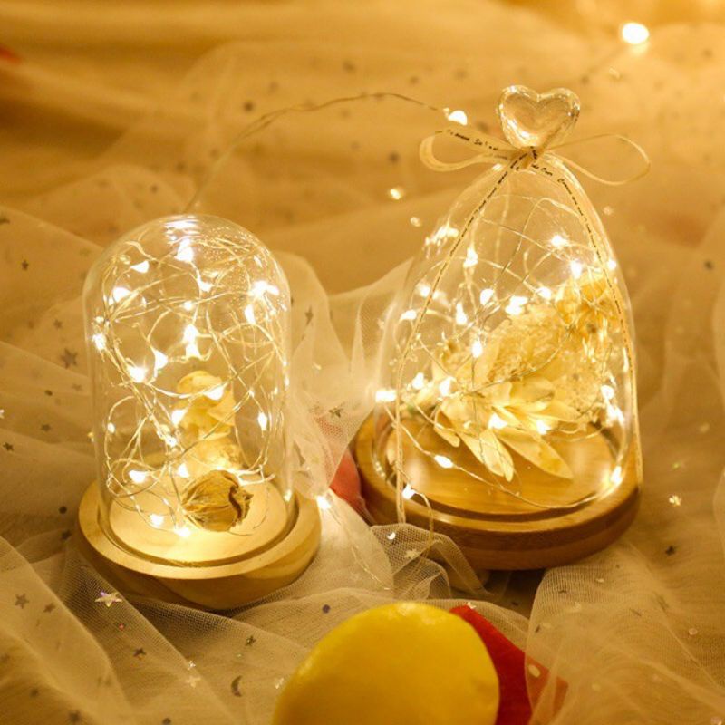 Đèn Led Đom Đóm 2 mét 20 bóng, 1 mét 10 bóng kèm pin giá sỉ dùng trang trí hộp quà, trang trí decor (m54)