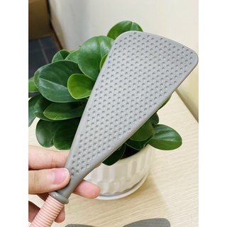 Muôi đảo chịu nhiệt Nhật Bản