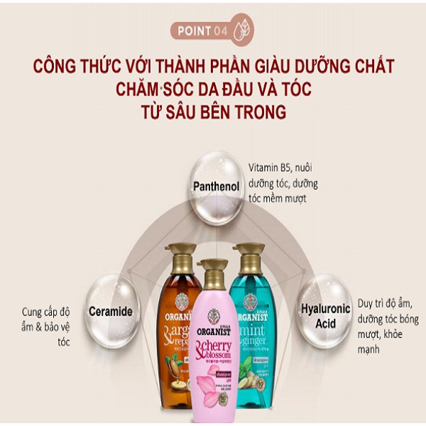 Dầu gội nuôi dưỡng tóc Organist dành cho tóc và da đầu gàu – Gừng và Bạc Hà 500ml