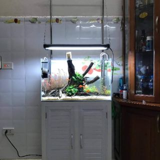 Giá treo đèn inox 304 (hda)