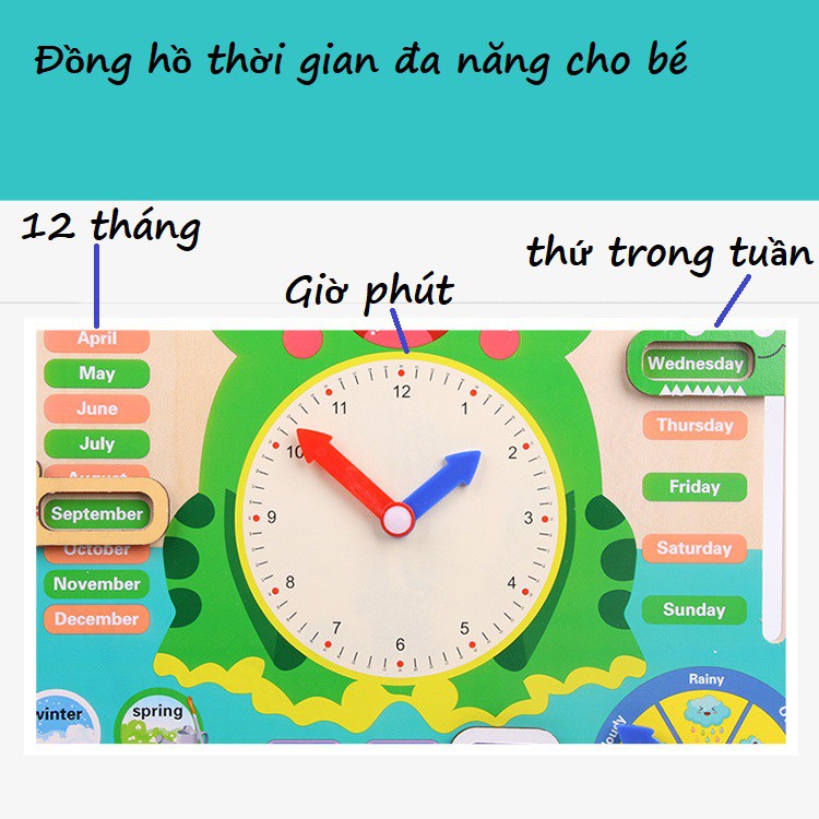 Đồng hồ đa nằng hình chú Ếch xanh 7 chức năng trong 1 KB216034, giáo cụ montessori Porhodo