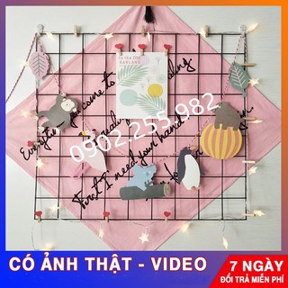 Khung lưới sắt trang trí treo tường, decor (Được tặng kèm móc dán treo tường)
