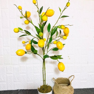 Cây chanh giả trang trí nhà cửa 1m - hằng decor