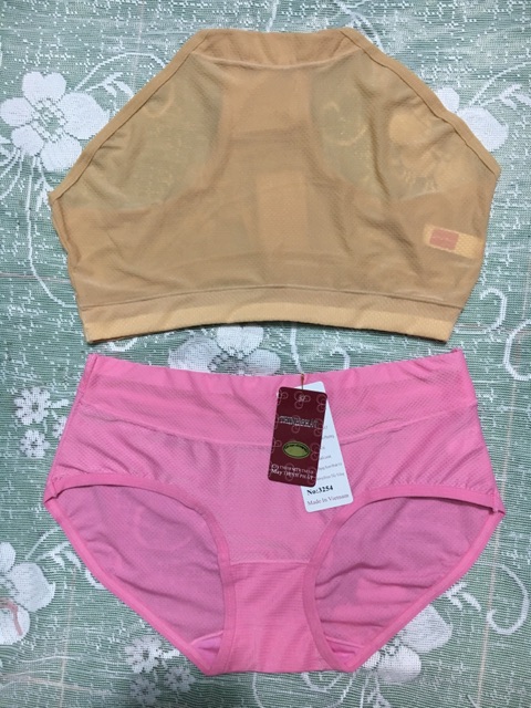 Set 5 Quần lót nữ Thịnh Phát lưng cao thông hơi, quần chíp nữ thun lạnh chất mền đẹp