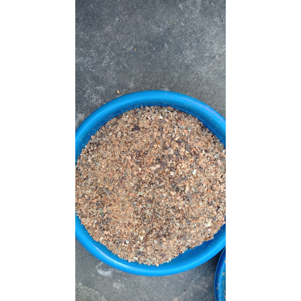 1kg hạt gấc rang thơm,giã nhỏ